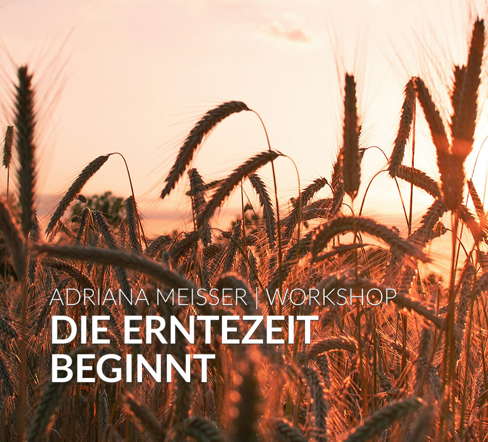 Die Erntezeit beginnt