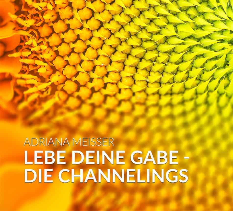 Lebe Deine Gabe Channelings Masterclass 2021