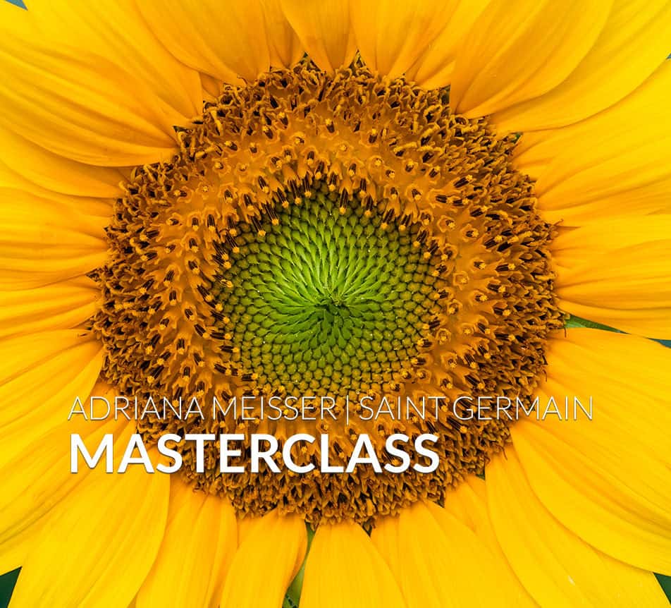 Masterclass mit Saint Germain 2024