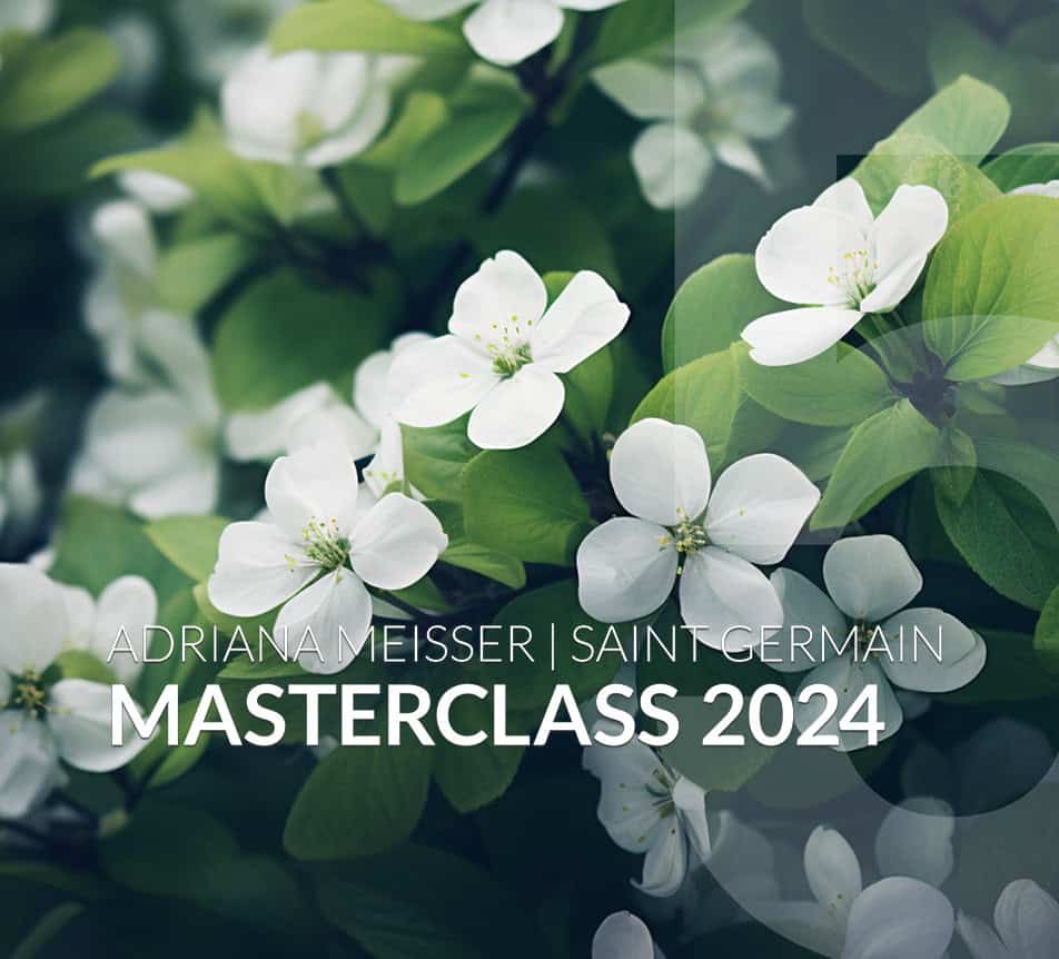 #05 Die Bedeutung von Karma und Seelenverträgen- Masterclass 2024 | 5. Call