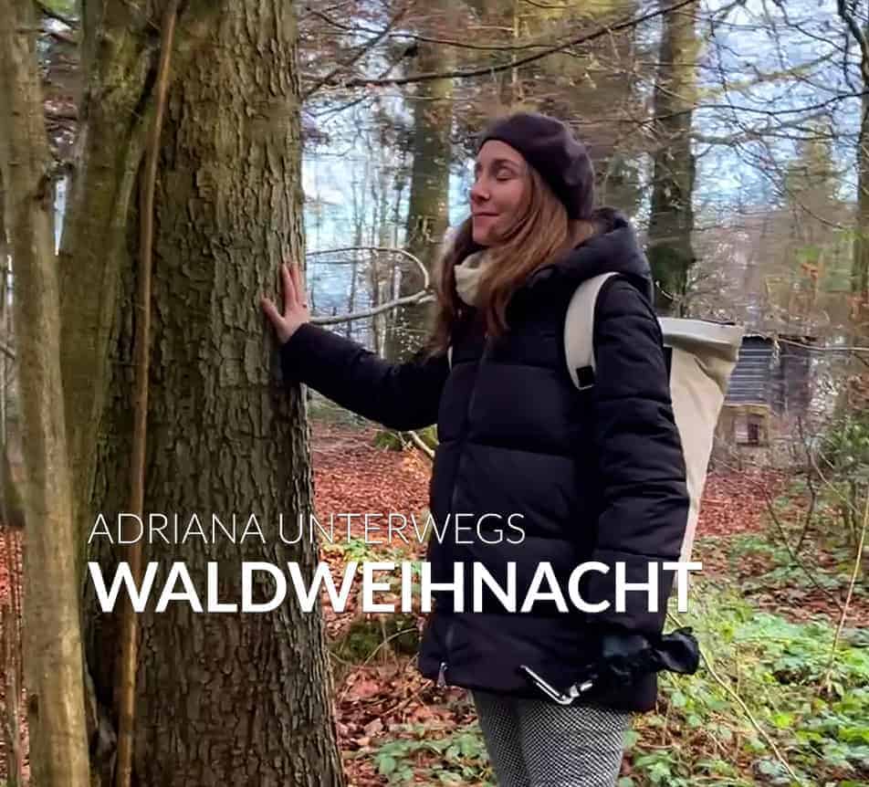 #24 Bereit für's 2025? Ein Channeling zu Weihnachten